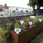 Foto Hortus 11