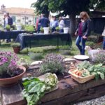 Foto Hortus 17