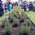 Foto Hortus 18