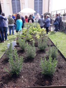 Foto Hortus 18