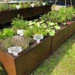 Foto Hortus 2