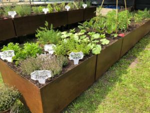 Foto Hortus 2