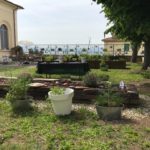 Foto Hortus 7