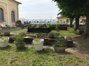 Foto Hortus 7