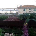 IMG-20200312-WA0005